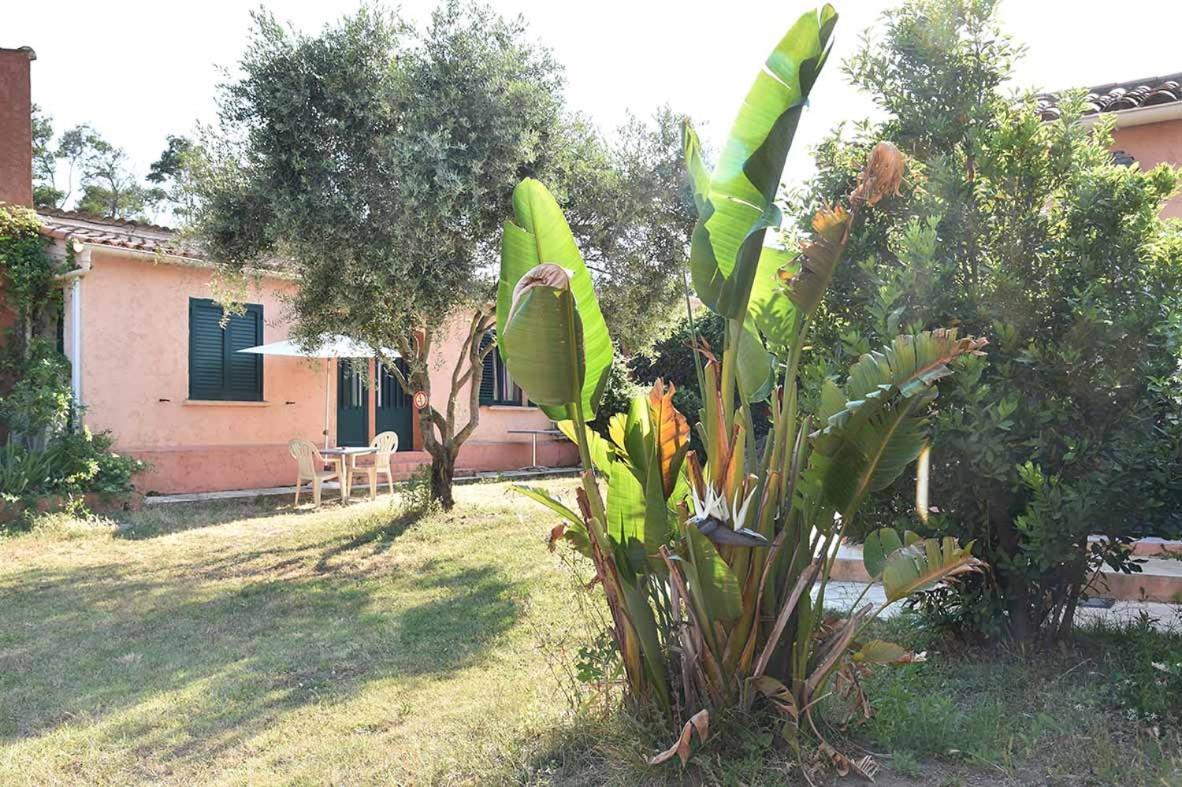 Terracorse Villa Figari  Ngoại thất bức ảnh